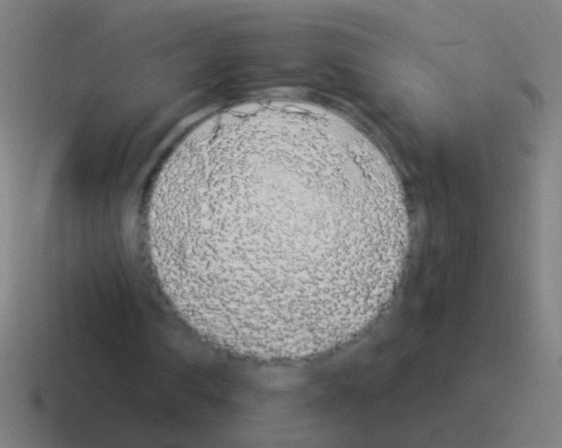 X0000116040290200912312238