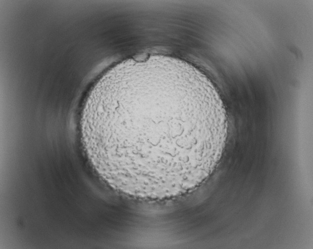 X0000116040298200912312238