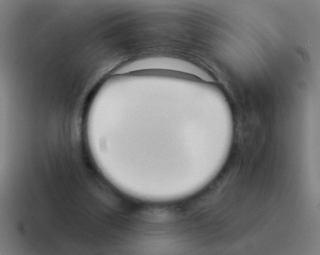 X0000116040299200912312238