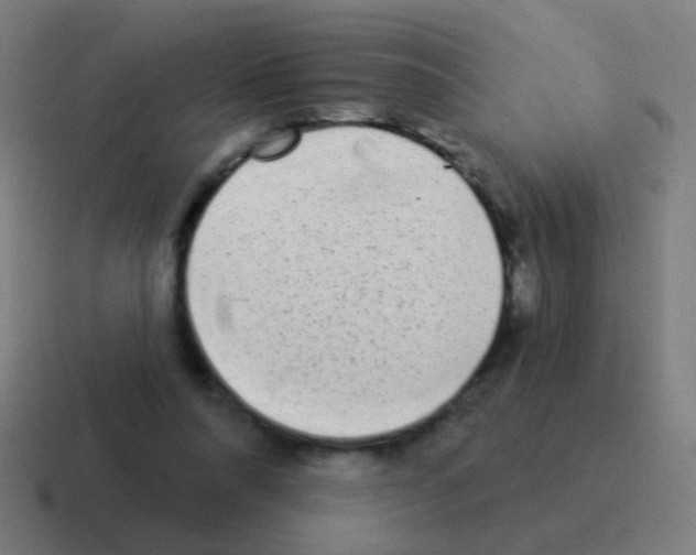 X0000116040304200912312238