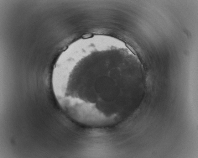 X0000116040305200912312238
