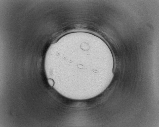 X0000116040319200912312237