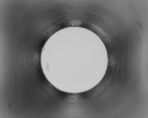 X0000116040321200912312237