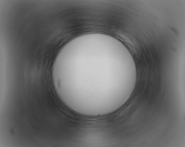 X0000116040325200912312237