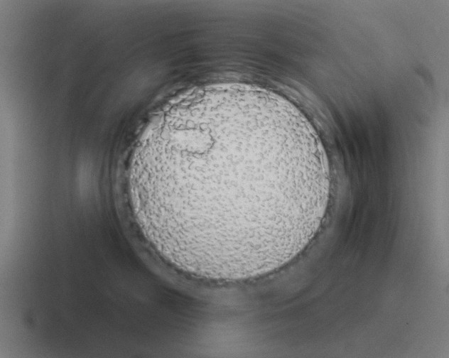 X0000116040326200912312237