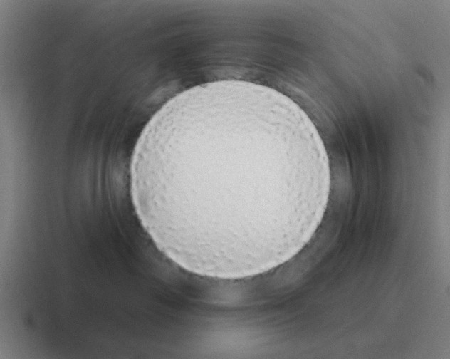 X0000116040334200912312237