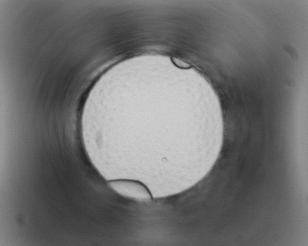 X0000116040338200912312237