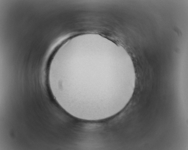 X0000116040342200912312237