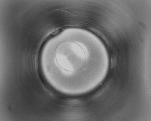 X0000116040349200912312237