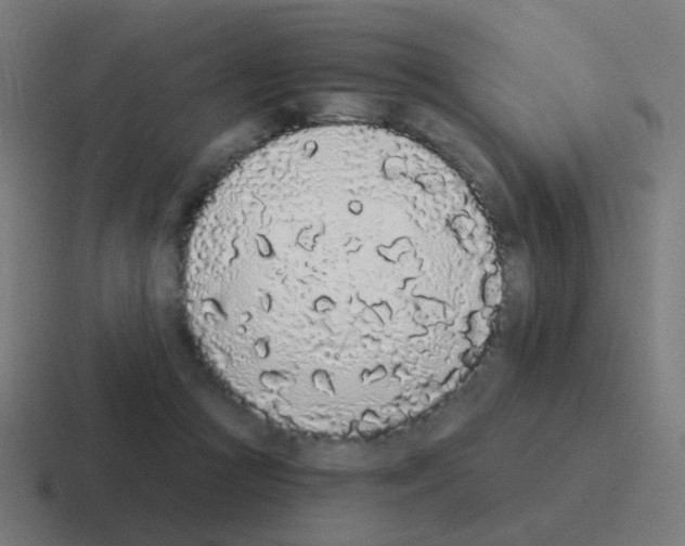 X0000116040361200912312237