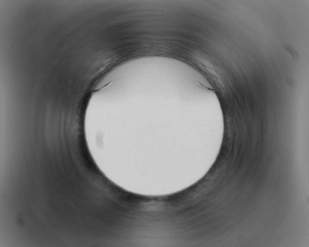 X0000116040362200912312237