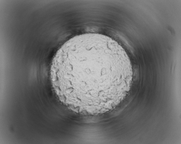 X0000116040363200912312237