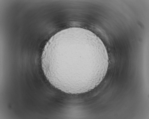 X0000116040367200912312237