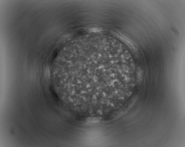 X0000116040373200912312237