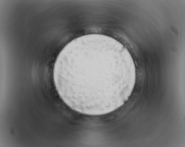 X0000116040374200912312237