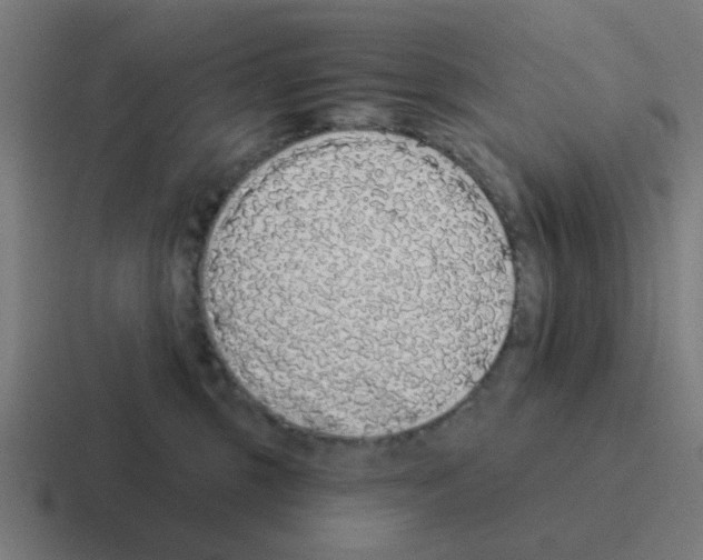 X0000116040375200912312237