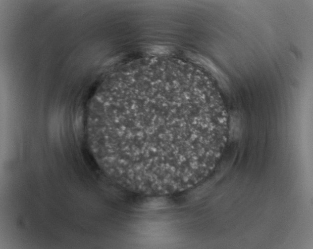 X0000116040377200912312237