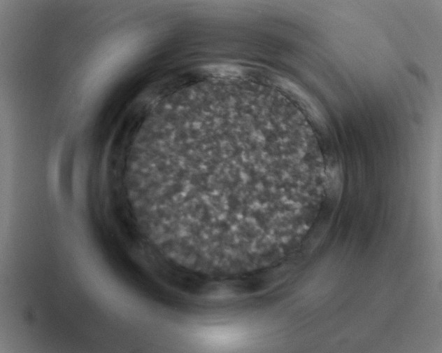 X0000116040381200912312237