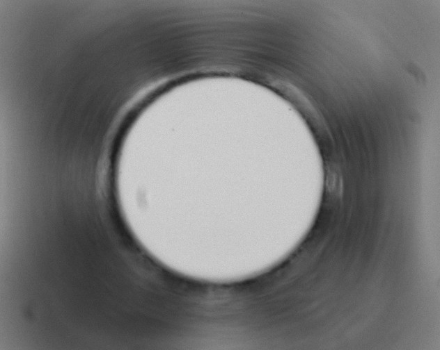 X0000116040388200912312237
