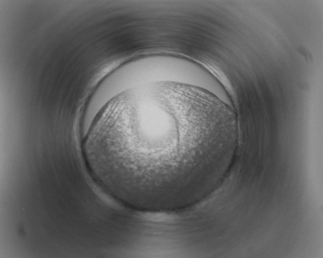 X0000116040389200912312236