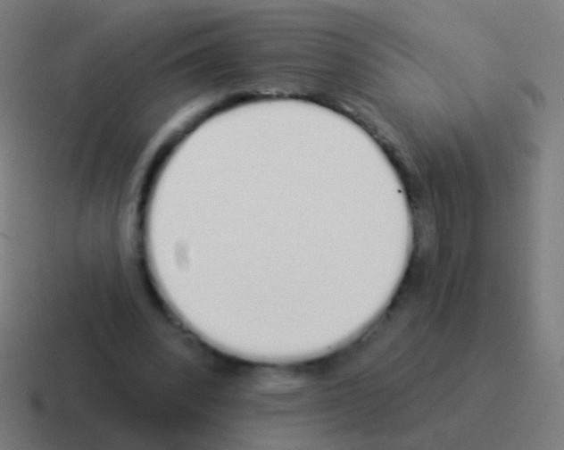 X0000116040392200912312236
