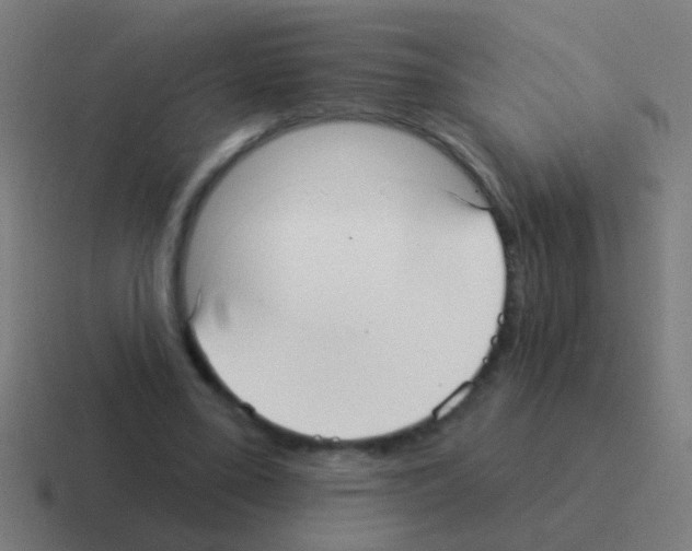 X0000116040395200912312236