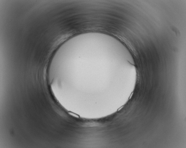 X0000116040397200912312236