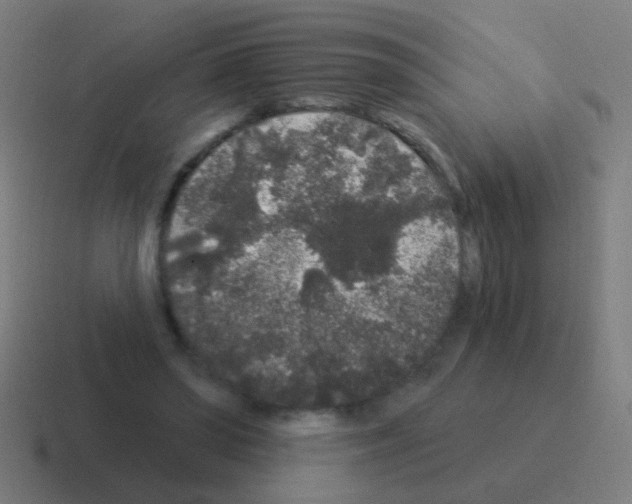 X0000116040398200912312236