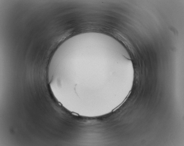 X0000116040401200912312236