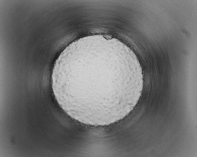X0000116040402200912312236