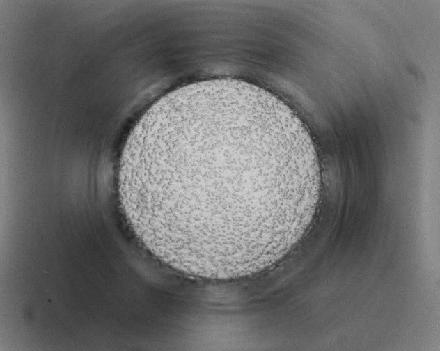 X0000116040406200912312236