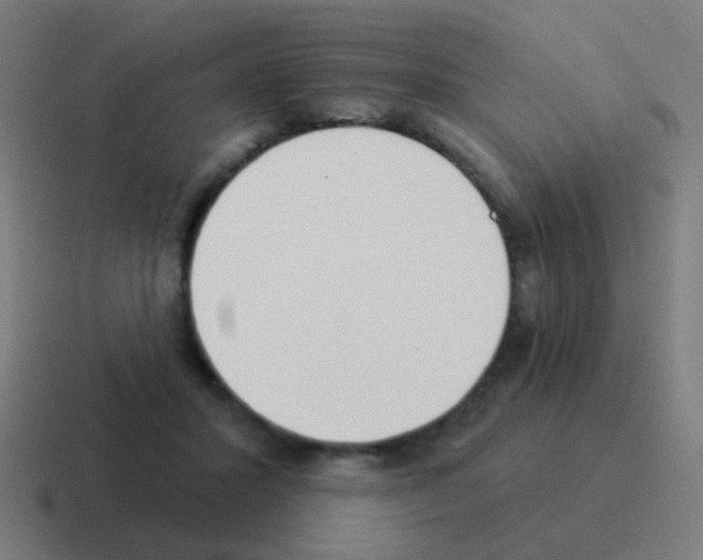 X0000116040407200912312236