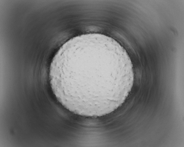 X0000116040410200912312236