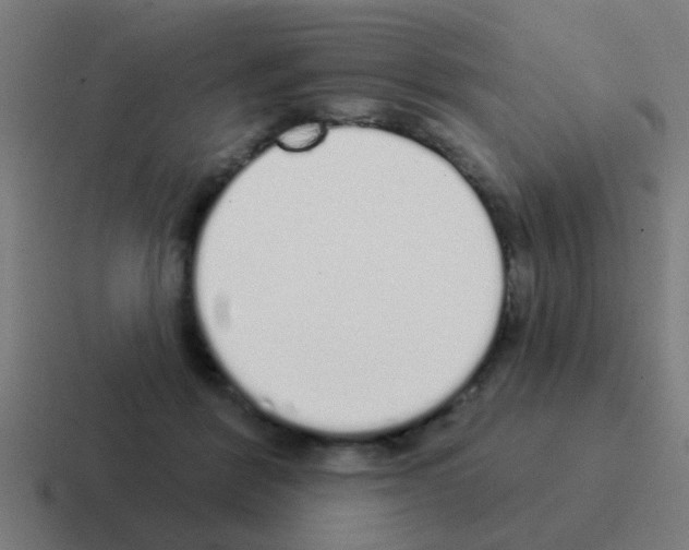 X0000116040412200912312236