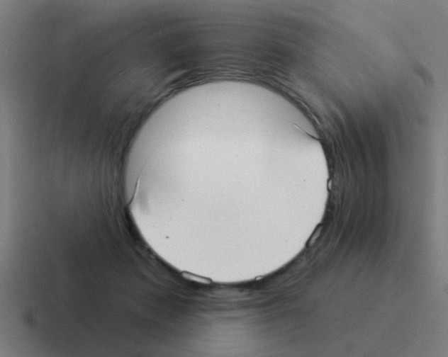 X0000116040413200912312236