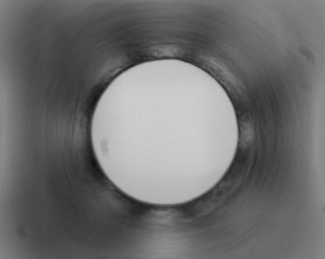 X0000116040414200912312236