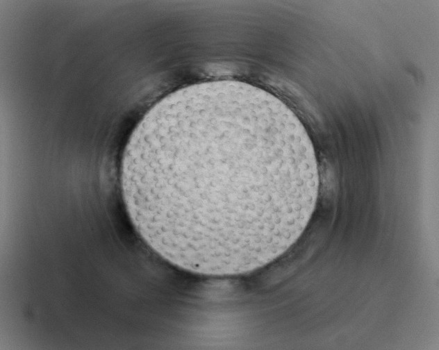X0000116040418200912312236