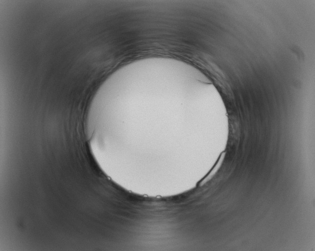 X0000116040419200912312236