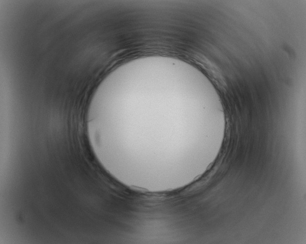 X0000116040421200912312236