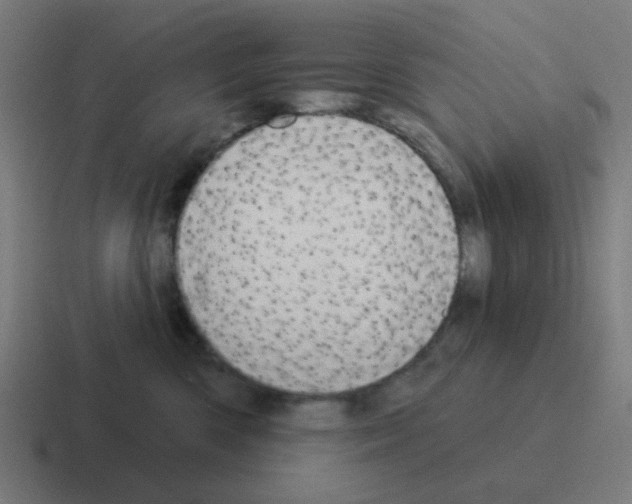 X0000116040426200912312236