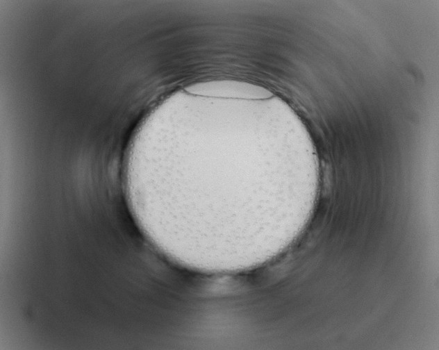X0000116040428200912312236
