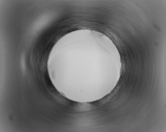 X0000116040429200912312236