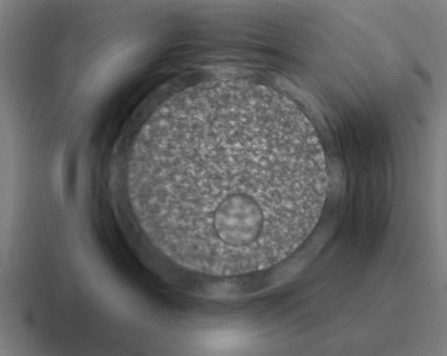 X0000116040430200912312236