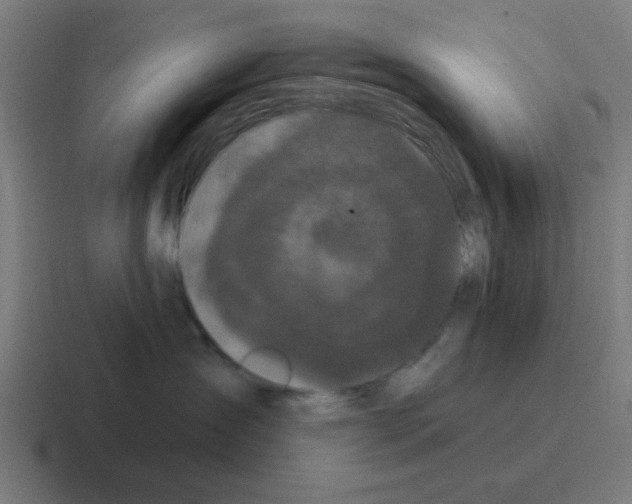 X0000116040431200912312236