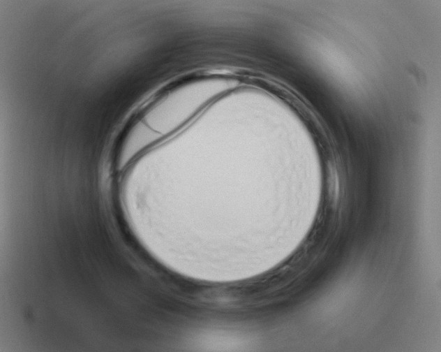 X0000116040435200912312235