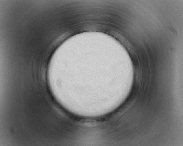 X0000116040445200912312235