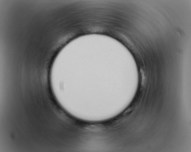 X0000116040447200912312236