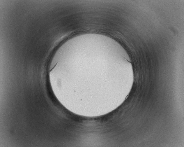 X0000116040448200912312236