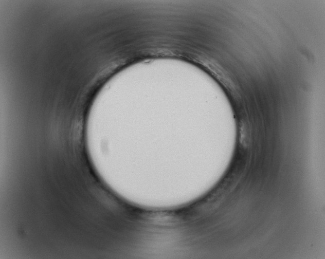 X0000116040449200912312236
