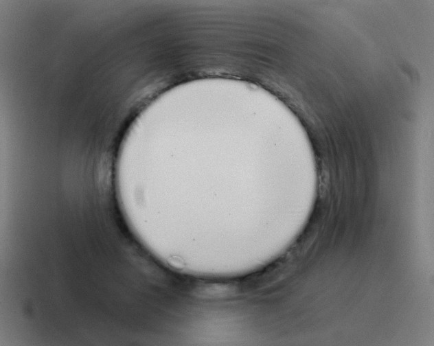 X0000116040454200912312236